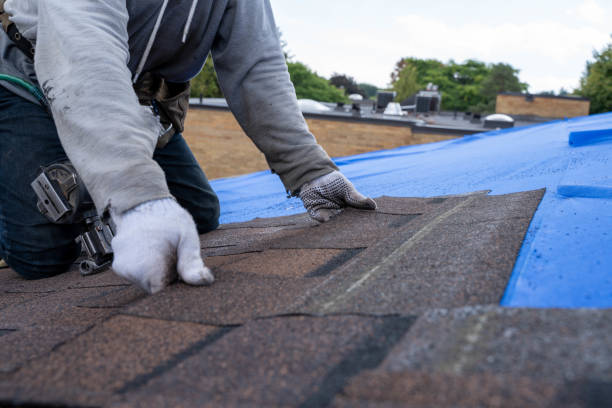 Best Roof Leak Repair  in Five Corners, WA