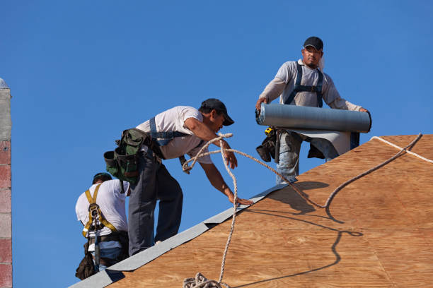 Best Metal Roofing Contractor  in Five Corners, WA